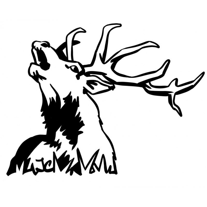 Tête de cerf