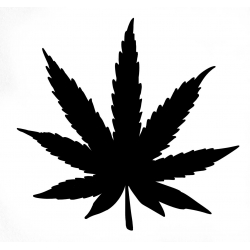 Feuille de Cannabis