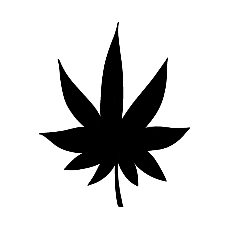 Cannabis