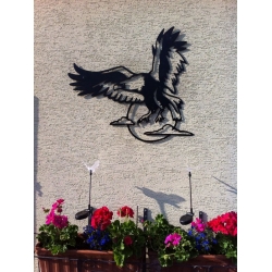 Aigle en vol 2