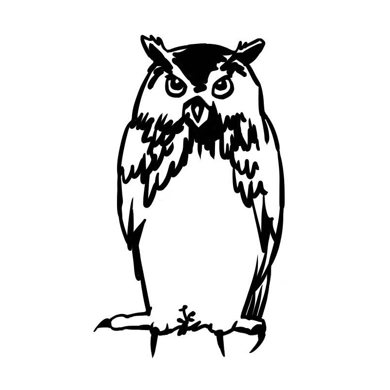 Hibou