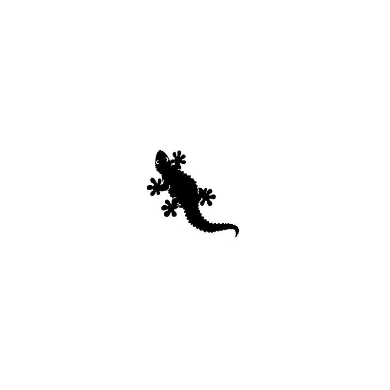 Gecko noir
