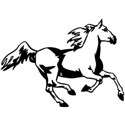 Cheval au galop