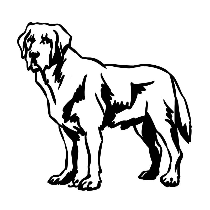 Labrador